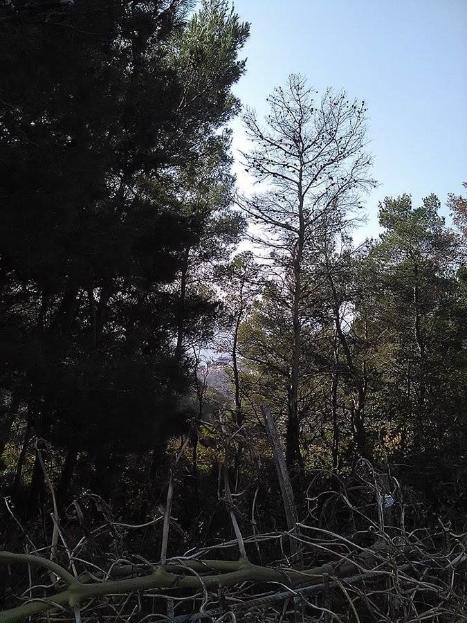 Гостевой дом Guest House Vjetreni Mlin Улцинь-29