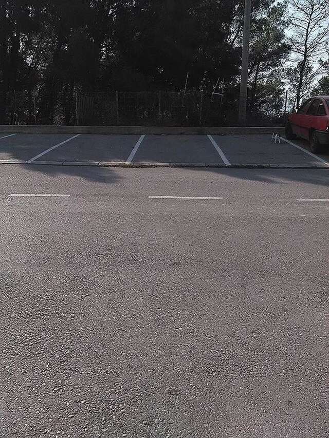 Гостевой дом Guest House Vjetreni Mlin Улцинь-23