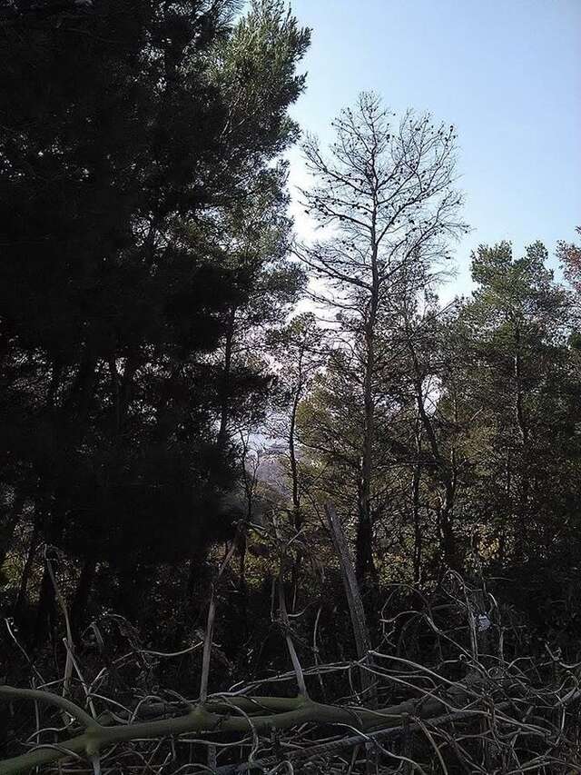 Гостевой дом Guest House Vjetreni Mlin Улцинь-28